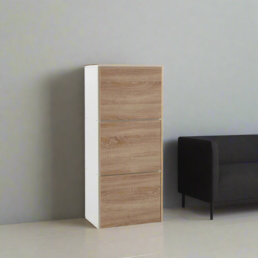 Reynal Shoe Cabinet Having 3 Doors By Miza