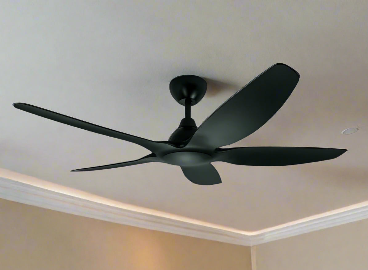 Jackdaw Remote Operated Forward And Reverse 5 Blades Ceiling Fan 1 PC By Wadbros