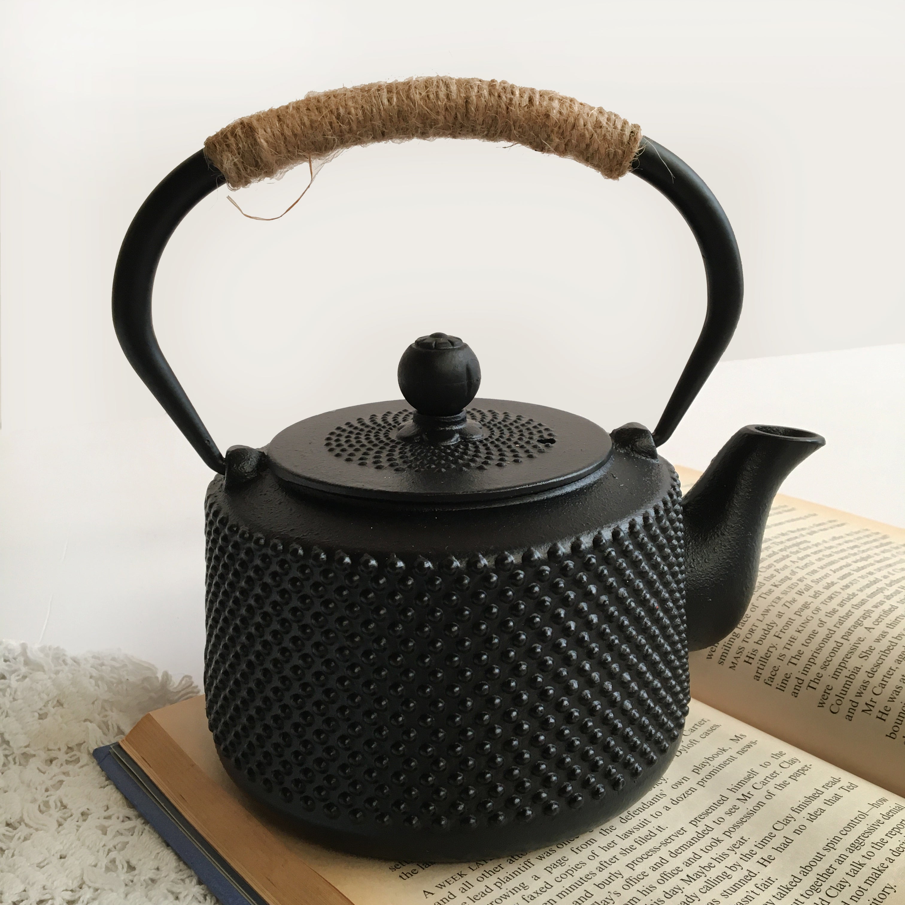 Sotya Cast Iron Japanese Tetsubin Tea Kettle Household Tea Making