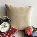Plain Blue Velvet Color Sofa Cushion Cover