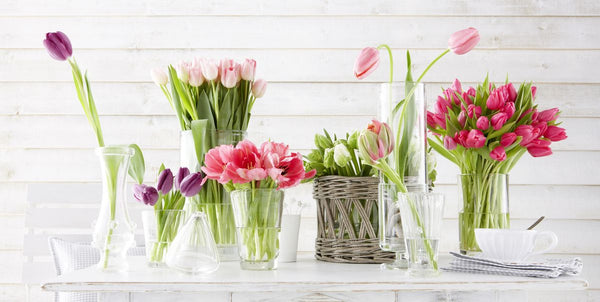 Artificial Plants & Flowers