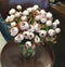 Artificial Spray Roses Peony Small Flower For Home Decoration 1 Bunch