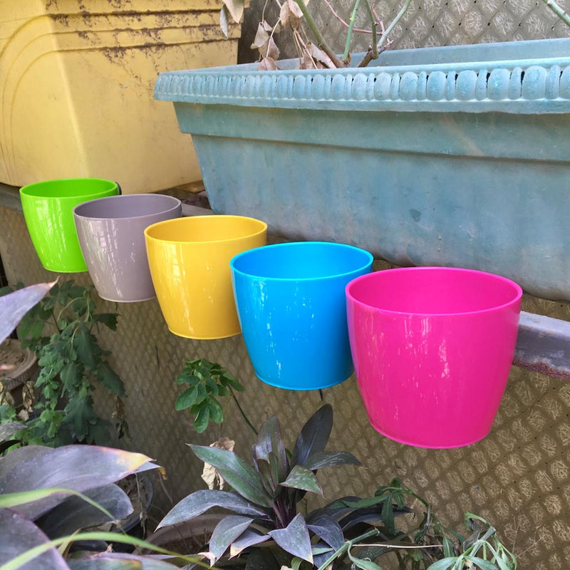 Valencia Magnet Pots/Planter For Indoor Or Outdoor ( Multicolor ) By Harshdeep