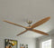 Falcon Remote Operated Forward And Reverse 4 Blades Ceiling Fan 1 PC By Wadbros