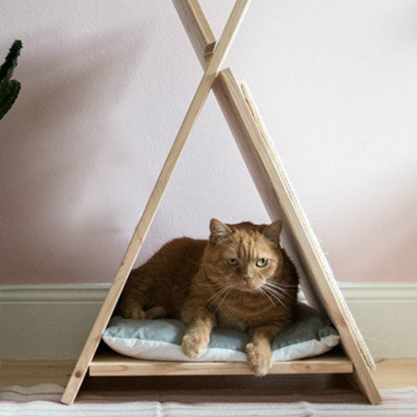 X - Shape Cat House By Miza