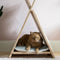 X - Shape Cat House By Miza