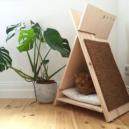 X - Shape Cat House By Miza