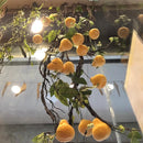 Artificial Dwarf Thai Pear Fruit Nashpati / Babugosha Plant - 1 Branch