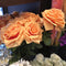 Artificial Large Rose Flower Single Stem For Home Decor