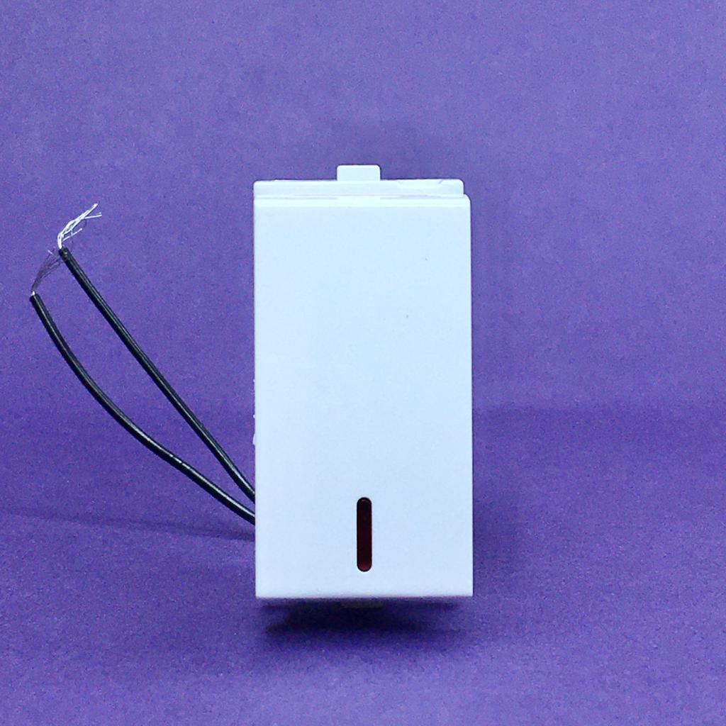 Anchor Penta Modular 1 Module 16 & 25 AX 1 Way with Neon Switches - 1 Pc