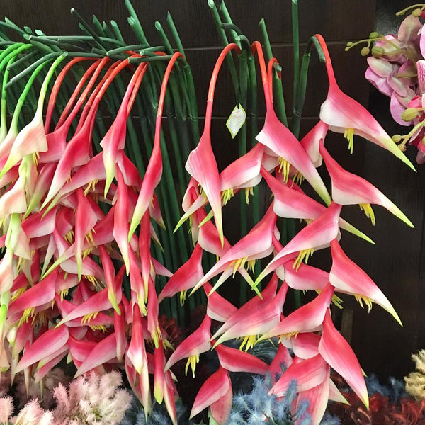 Artificial Flower Bird of Paradise Heliconia For Home Garden Stick