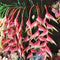 Artificial Flower Bird of Paradise Heliconia For Home Garden1 Stick