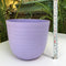 Verona Planter For Indoor Or Outdoor ( Multicolor ) By Harshdeep