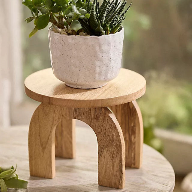 Wooden Plant Stand For Home By Miza