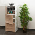 Reynal Shoe Cabinet Having 3 Doors By Miza