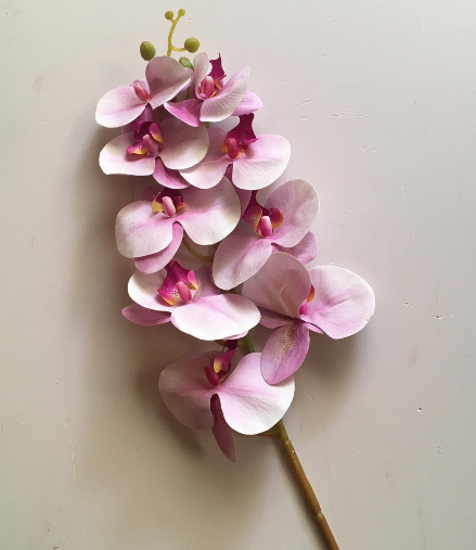 Artificial Orchids Flower Stem For Home Decoration/Prop 1 Stick