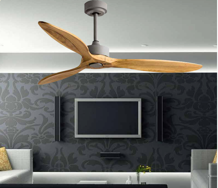 Woodpecker BLDC Remote Operated Forward And Reverse 3 Blades Ceiling Fan 1 PC By Wadbros