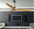 Woodpecker BLDC Remote Operated Forward And Reverse 3 Blades Ceiling Fan 1 PC By Wadbros