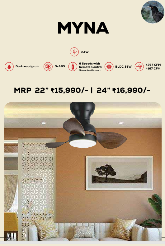 Myna Remote Operated Forward And Reverse 3 Blades Ceiling Fan 1 PC By Wadbros