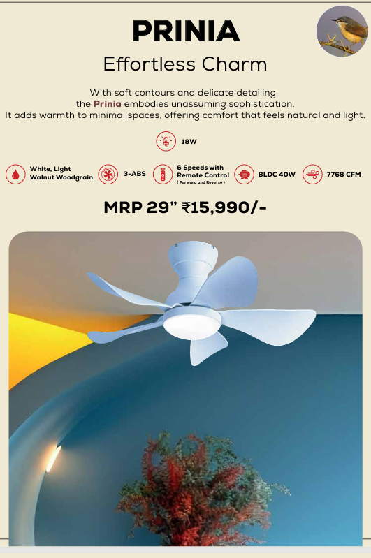 Prinia Remote Operated Forward And Reverse 5 Blades Ceiling Fan 1 PC By Wadbros