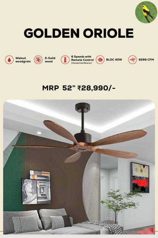 Golden Oriole Remote Operated Forward And Reverse 5 Blades Ceiling Fan 1 PC By Wadbros