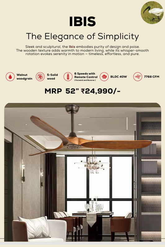 Ibis Remote Operated Forward And Reverse 3 Blades Ceiling Fan 1 PC By Wadbros