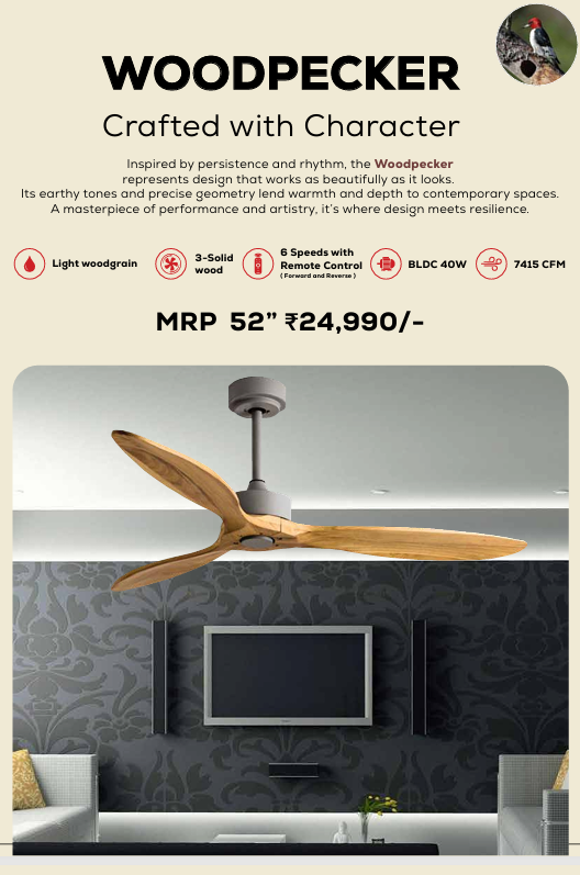 Woodpecker BLDC Remote Operated Forward And Reverse 3 Blades Ceiling Fan 1 PC By Wadbros