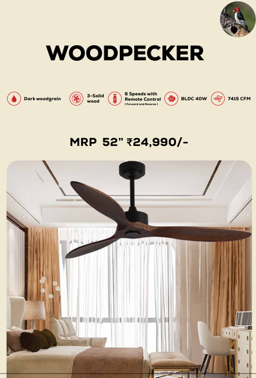 Woodpecker BLDC Remote Operated Forward And Reverse 3 Blades Ceiling Fan 1 PC By Wadbros
