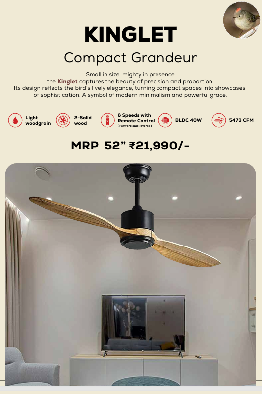 Kinglet Remote Operated Forward And Reverse 2 Blades Ceiling Fan 1 PC By Wadbros