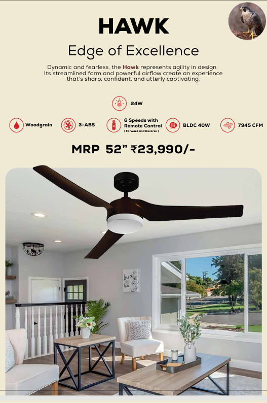 Hawk Remote Operated Forward And Reverse 3 Blades Ceiling Fan 1 PC By Wadbros