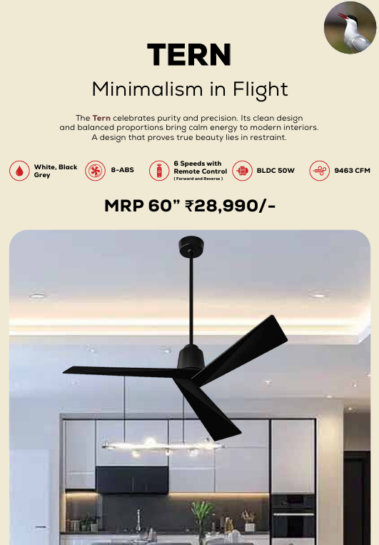 Tern Remote Operated Forward And Reverse 3 Blades Ceiling Fan 1 PC By Wadbros