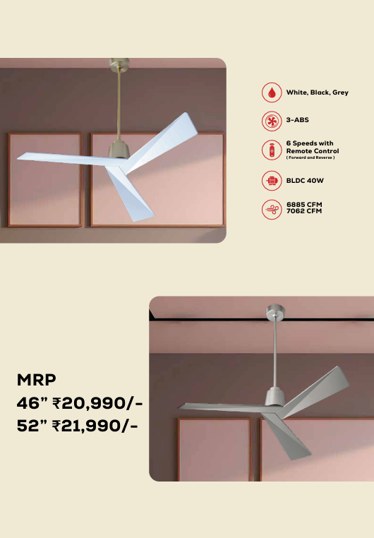 Tern Remote Operated Forward And Reverse 3 Blades Ceiling Fan 1 PC By Wadbros