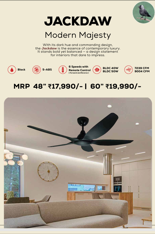 Jackdaw Remote Operated Forward And Reverse 5 Blades Ceiling Fan 1 PC By Wadbros