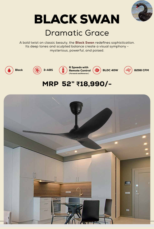 Black Swan Remote Operated Forward And Reverse 3 Blades Ceiling Fan 1 PC By Wadbros