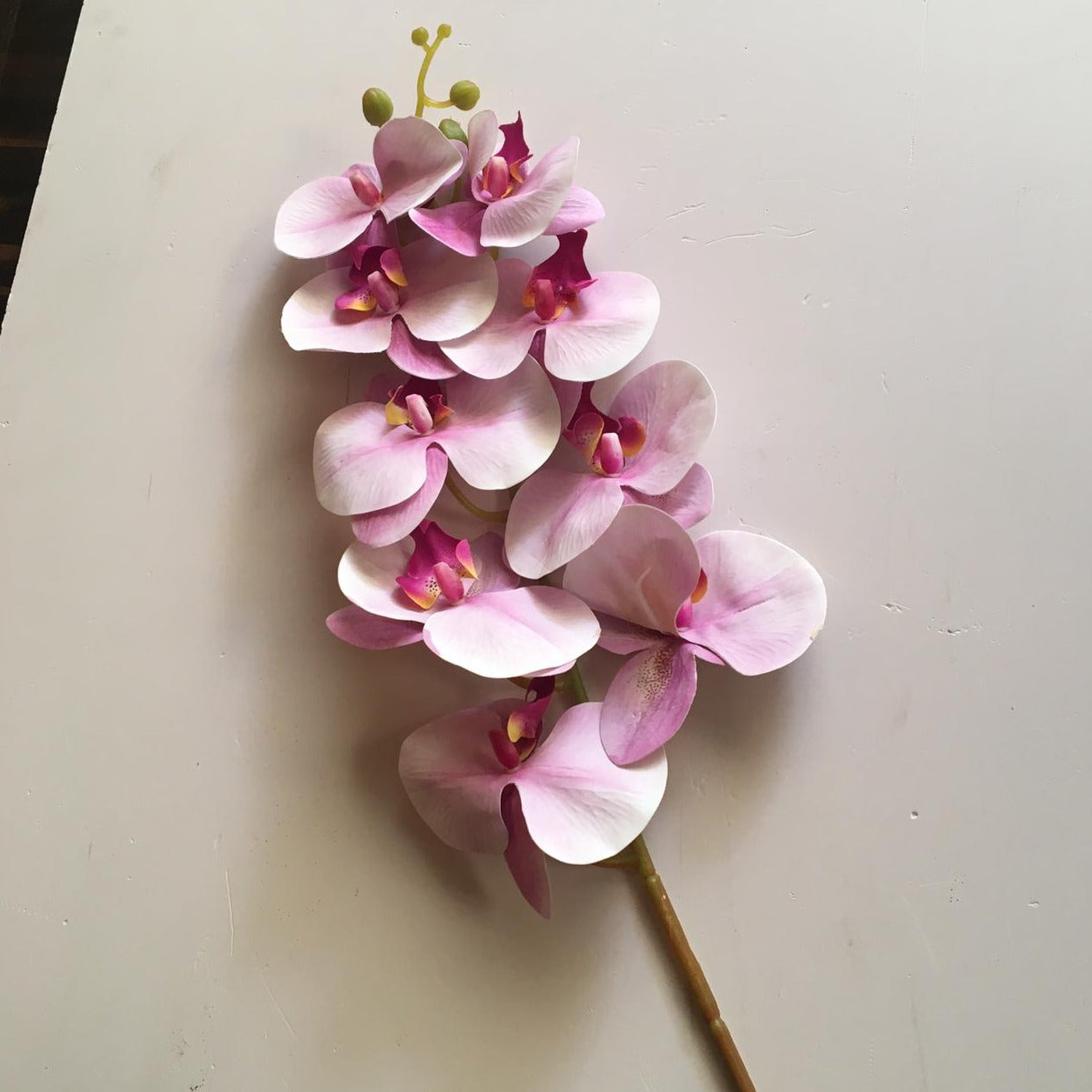 Artificial Orchids Flower Stem For Home Decoration/Prop 1 Stick