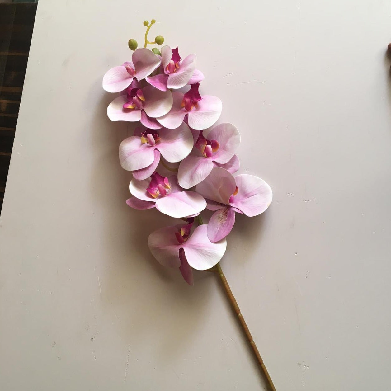Artificial Orchids Flower Stem For Home Decoration/Prop 1 Stick