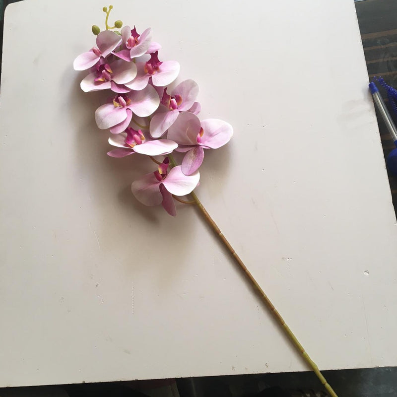 Artificial Orchids Flower Stem For Home Decoration/Prop 1 Stick