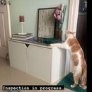 Wooden Cat /Dog House / Pet Furniture By Miza