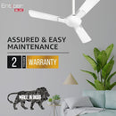 Havells Enticer BLDC High Speed 1200 mm Ceiling Fan