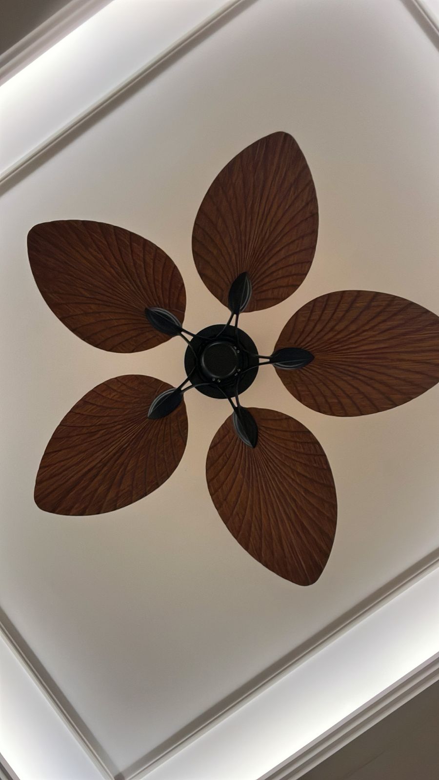Teetar C Remote Operated Forward And Reverse 5 Blades Ceiling Fan 1 PC By Wadbros