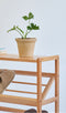 Multi-Tier Slant Wooden Shoe Rack By Miza