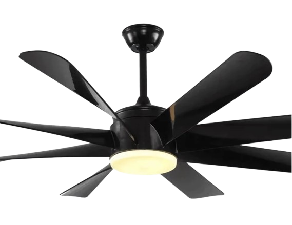 Black Kite Remote Operated Forward And Reverse 8 Blades Ceiling Fan 1 PC By Wadbros