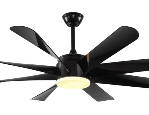 Black Kite Remote Operated Forward And Reverse 8 Blades Ceiling Fan 1 PC By Wadbros