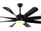 Black Kite Remote Operated Forward And Reverse 8 Blades Ceiling Fan 1 PC By Wadbros