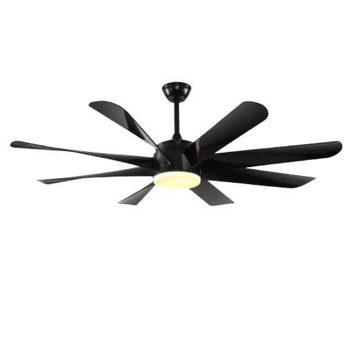 Black Kite Remote Operated Forward And Reverse 8 Blades Ceiling Fan 1 PC By Wadbros