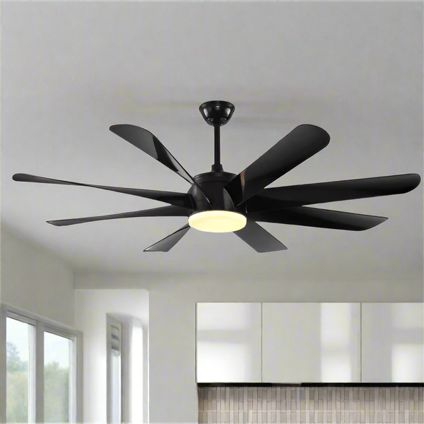 Black Kite Remote Operated Forward And Reverse 8 Blades Ceiling Fan 1 PC By Wadbros