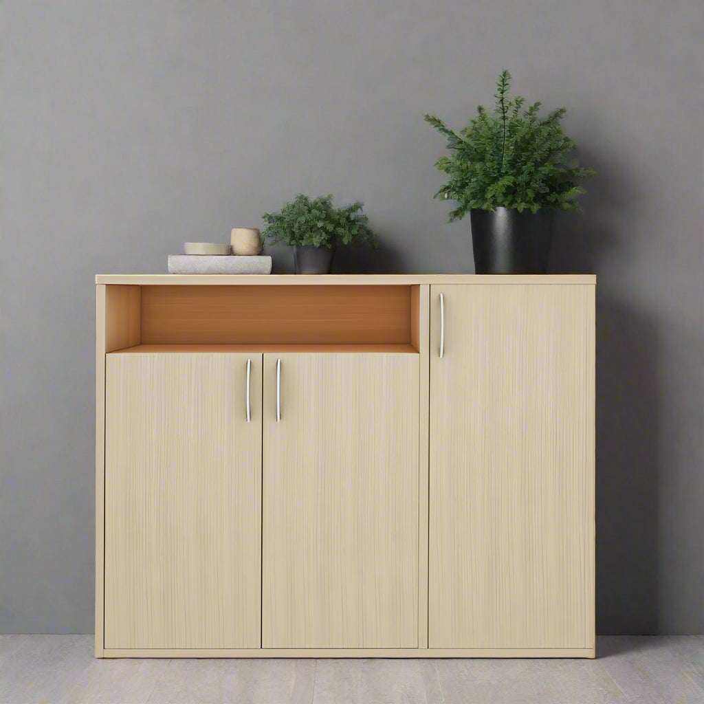 Elegant Shoe Cabinet for Hall / Living Room By Miza