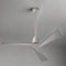 Tern Remote Operated Forward And Reverse 3 Blades Ceiling Fan 1 PC By Wadbros