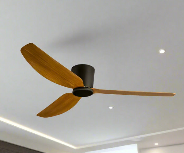 Robin Remote Operated Forward And Reverse 3 Blades Ceiling Fan 1 PC By Wadbros