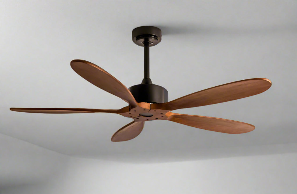 Eagle Remote Operated Forward And Reverse 5 Blades Ceiling Fan 1 PC By Wadbros